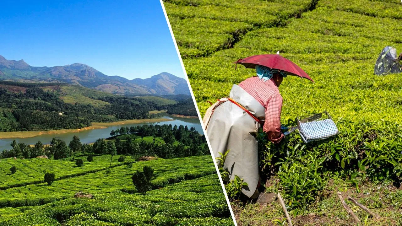 एशिया के वो 8 खूबसूरत गांव जहां घूमने के दीवाने हैं लोग, भारत का ये हिल स्टेशन भी लिस्ट में