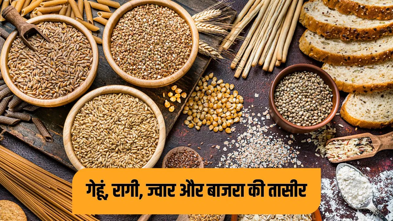 गेहूं, रागी, ज्वार और बाजरा… किस मौसम में क्या खाएं? एक्सपर्ट से समझें